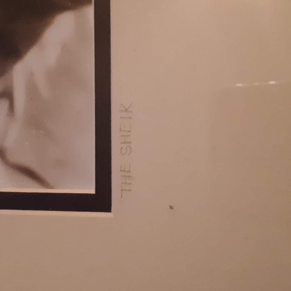 Rudolph valentino photography circa 1921 art - Picture 3 of 10